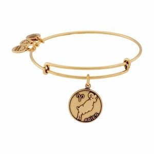 Alex and Ani Aries Gold Expandable Bangle Bracelet